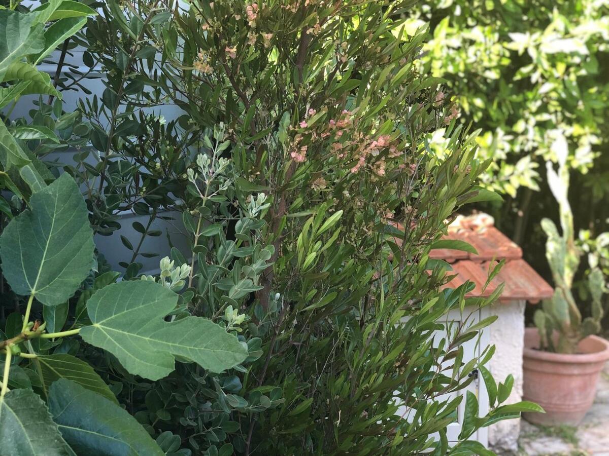 Le Tre Palme Vila Fontane Bianche Exterior foto