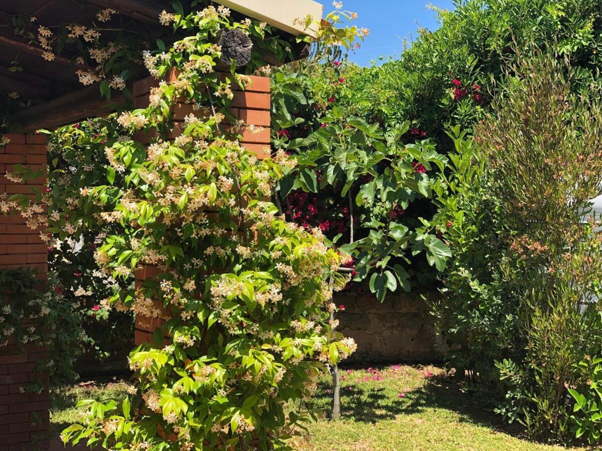 Le Tre Palme Vila Fontane Bianche Exterior foto