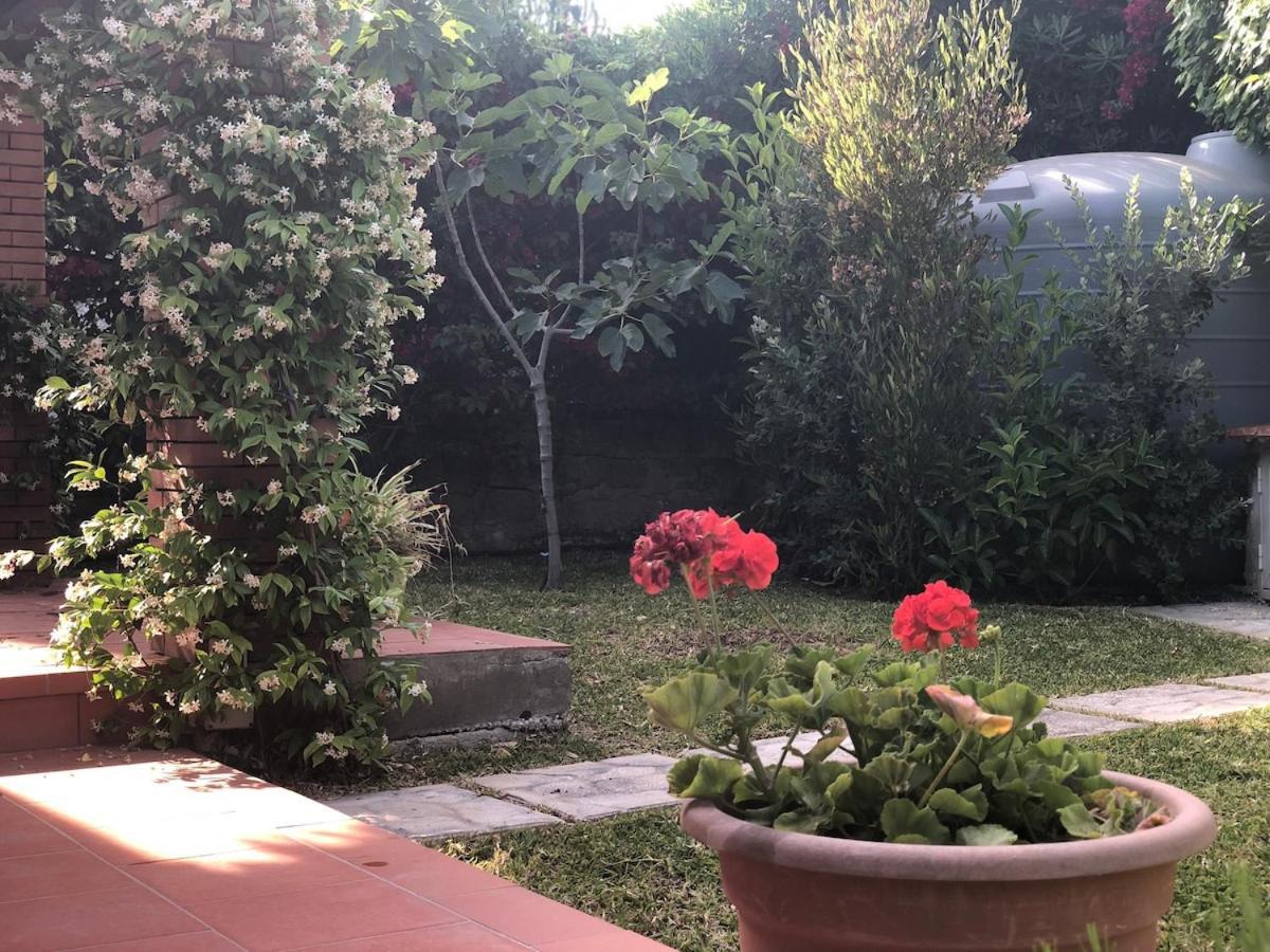 Le Tre Palme Vila Fontane Bianche Exterior foto